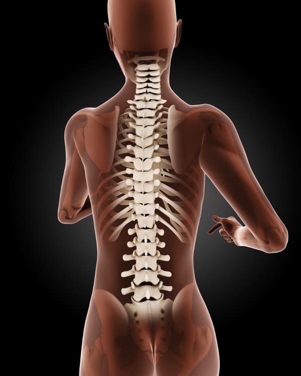https://drmdssasidharan.com/wp-content/uploads/2024/04/body-vertebral.jpg